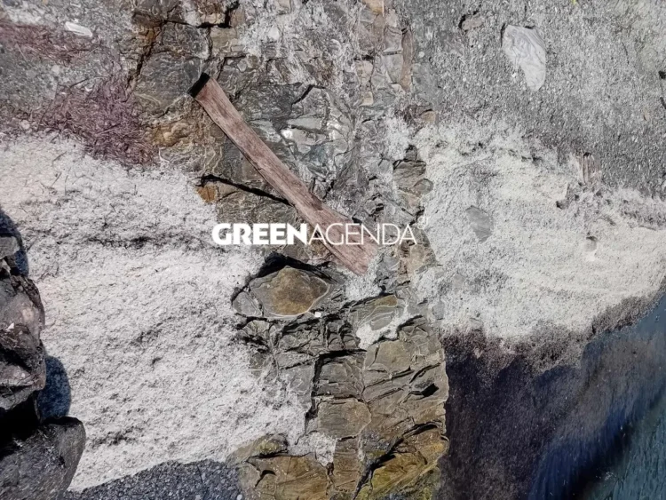 Ασύλληπτες εικόνες στον Βόλο: Άσπρισαν παραλίες από λέπια και σκελετούς ψαριών που αποσυντέθηκαν