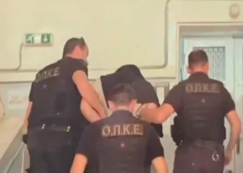 Στον ανακριτή ο 31χρονος που σκότωνε αδέσποτα ζώα στον Βόλο – Τον περίμεναν φιλόζωοι έξω από το δικαστήριο