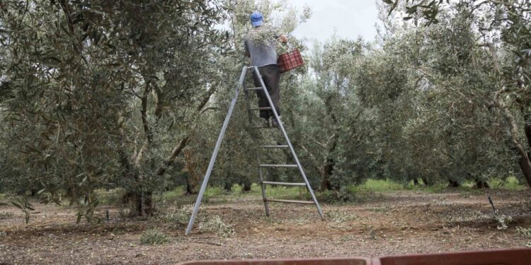 Στο τραπέζι η διαγραφή των κόκκινων δανείων σε αγρότες – Σε πρώτο πλάνο η στήριξη της οικογένειας