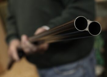 Παγγαίο: Ανάστατοι αγρότες και κάτοικοι από ομάδα Κύπριων κυνηγών – “Κάνουν έγκλημα, σκοτώνουν ασύστολα και πωλούν τις τσίχλες προς 12-15 ευρώ”