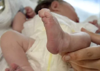 Αμαλιάδα: Τα 4 νεκρά βρέφη και οι προηγούμενες προειδοποιήσεις από το «Χαμόγελο του Παιδιού»