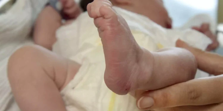 Αμαλιάδα: Τα 4 νεκρά βρέφη και οι προηγούμενες προειδοποιήσεις από το «Χαμόγελο του Παιδιού»