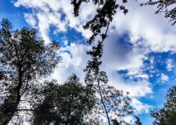 Καιρός: Με ήλιο, 26άρια και ανέμους έως 7 μποφόρ μάς υποδέχεται ο Νοέμβριος