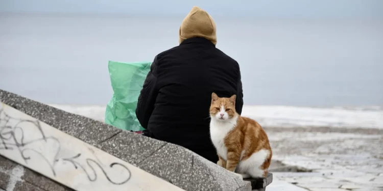 Καιρός: Σε ποιες περιοχές θα έχει σήμερα βροχή