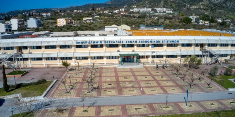 Πανεπιστήμιο Θεσσαλίας: Φοιτητής χάκαρε τα αρχεία της γραμματείας για να πάρει πτυχίο