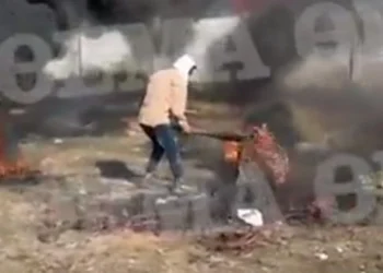 Οδοιπορικό σε καταυλισμό Ρομά στον Ασπρόπυργo – Καίνε καλώδια για να βγάλουν χαλκό, δείτε βίντεο