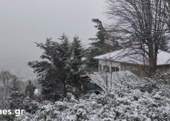 Στα “λευκά” το Σέλι Ημαθίας, η Καστοριά, η Φλώρινα και η Κοζάνη – Ειδυλλιακές εικόνες από τα χιονισμένα τοπία