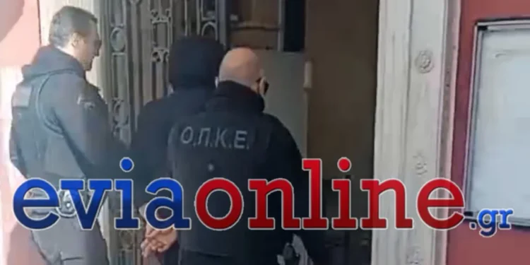 Έγκλημα στην Εύβοια: Απολογείται ο γαμπρός του 66χρονου – Ισχυρίζεται ότι δεν συμμετείχε στη δολοφονία του