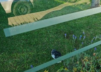 Τραγωδία στο κέντρο της Αθήνας: Σύζυγος του Γιάννη Βλαστάρη, η γυναίκα που έπεσε στο κενό