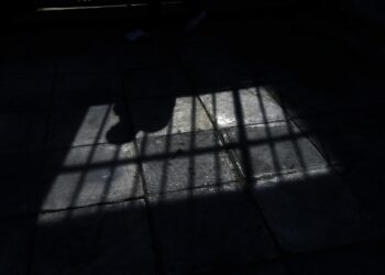 Φυλακές Κορυδαλλού: 37χρονος έστειλε στο νοσοκομείο συγκρατούμενό του – Τον χτύπησε στο κεφάλι και τον δάγκωσε στο μάγουλο