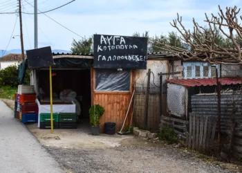 Ληστής έπεσε νεκρός μετά από συμπλοκή με 72χρονη σε χωριό του Ναυπλίου