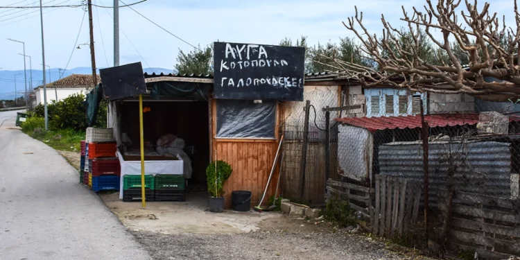 Ληστής έπεσε νεκρός μετά από συμπλοκή με 72χρονη σε χωριό του Ναυπλίου