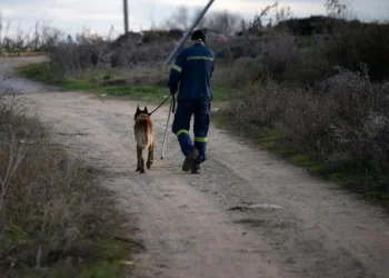 Στη Σαντορίνη η ΕΜΑΚ – Σκηνές και σκυλιά υπό τον φόβο ισχυρού σεισμού