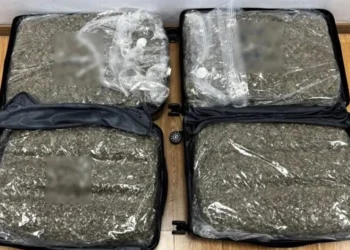 Συνελήφθη στο Ελ. Βενιζέλος γυναίκα με ναρκωτικά – Είχε βάλει σε δύο βαλίτσες 26 κιλά skunk