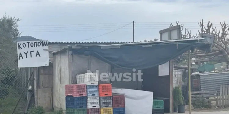 Ναύπλιο: «Μου έβαλε ένα μαχαίρι στο λαιμό και πάλεψα μαζί του» υποστηρίζει η 72χρονο που σκότωσε τον 50χρονο ληστή