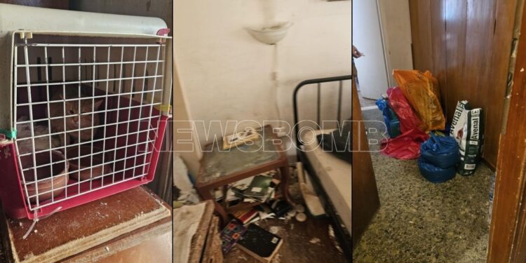 Φρίκη στην Κινέτα: «Συλλέκτρια» είχε το πτώμα της μητέρας της σε σακούλα μαζί με κακοποιημένες γάτες