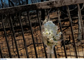 Δίκη για το Μάτι: Σήμερα η αγόρευση της εισαγγελέα για την πολύνεκρη τραγωδία