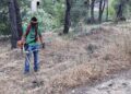 Αρχίζουν και πάλι οι μπελάδες με τα «ακαθάριστα» οικόπεδα: Η πλατφόρμα, τα πρόστιμα και οι καταγγελίες
