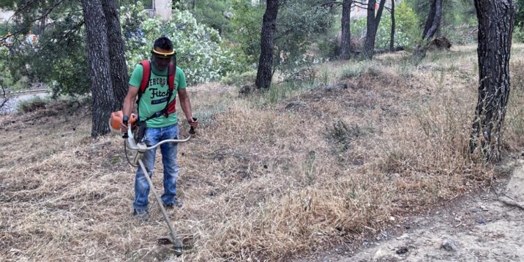 Αρχίζουν και πάλι οι μπελάδες με τα «ακαθάριστα» οικόπεδα: Η πλατφόρμα, τα πρόστιμα και οι καταγγελίες