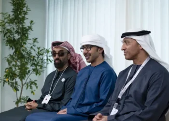 Πράσινο φως στον σεΐχη του Αμπού Ντάμπι για ξενοδοχείο «παλάτι» στην Ερμιόνη – Ποιος είναι ο Άραβας κροίσος