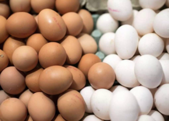 Αβγομαχίες: Η μάχη του καλού με το κακό στην Καστανούσσα Σερρών