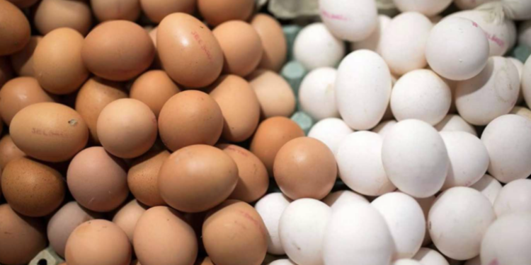 Αβγομαχίες: Η μάχη του καλού με το κακό στην Καστανούσσα Σερρών