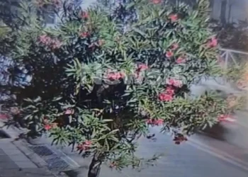 Άνω Λιόσια: Η στιγμή που οι δράστες κυνηγούν και «γαζώνουν» τη μαύρη Mercedes του 42χρονου bodybuilder – «Με πυροβόλησαν»