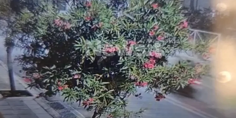 Άνω Λιόσια: Η στιγμή που οι δράστες κυνηγούν και «γαζώνουν» τη μαύρη Mercedes του 42χρονου bodybuilder – «Με πυροβόλησαν»