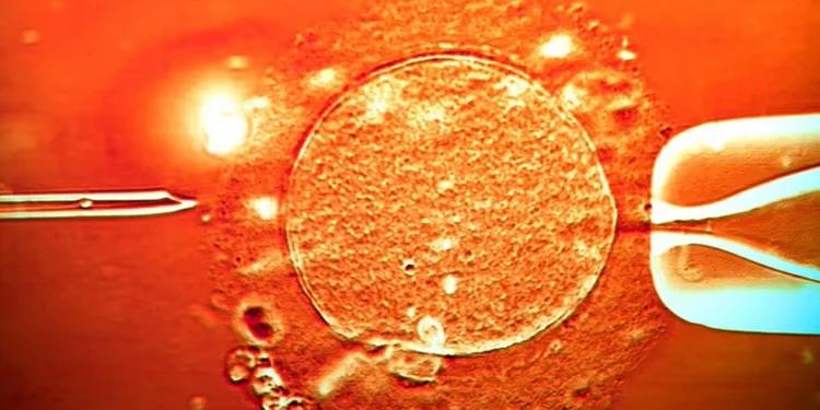 Συναγερμός στην Ευρώπη: Σπέρμα δότη με καρκινογόνο μετάλλαξη χρησιμοποιήθηκε για τη σύλληψη 67 παιδιών – 10 εμφάνισαν καρκίνο