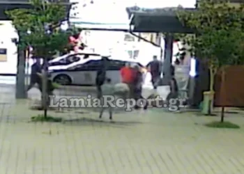 Άγριο επεισόδιο μεταξύ Ρομά στο κέντρο της Λαμίας – Ο ένας χτύπησε τον άλλο στο κεφάλι με μεταλλικό αντικείμενο, δείτε βίντεο