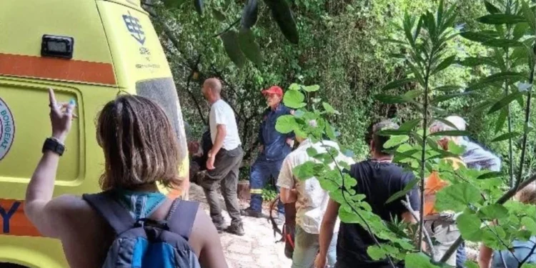 «Ό,τι συνέβη, συνέβη σε μια πεζοπορία – Για ένα τετράχρονο παιδί μπορεί να είναι επικίνδυνο», εξηγεί εκπαιδευτής για την τραγωδία στη Νέδα