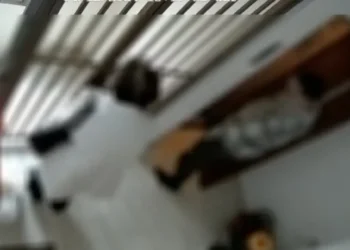 Έκαναν τους συντηρητές ασανσέρ και κατέβαζαν στο ισόγειο ηλικιωμένους – Οι συνεργοί τους άδειαζαν τα σπίτια [βίντεο]