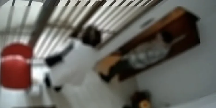 Έκαναν τους συντηρητές ασανσέρ και κατέβαζαν στο ισόγειο ηλικιωμένους – Οι συνεργοί τους άδειαζαν τα σπίτια [βίντεο]