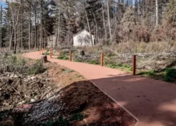 Τατόι: Σύλληψη ηθοποιών και σκηνοθέτη για γυρίσματα με ψεύτικο όπλο – Αναστάτωση από «πυροβολισμούς» και «κραυγές» μέσα στη νύχτα (vid)