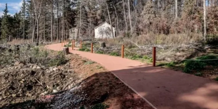 Τατόι: Σύλληψη ηθοποιών και σκηνοθέτη για γυρίσματα με ψεύτικο όπλο – Αναστάτωση από «πυροβολισμούς» και «κραυγές» μέσα στη νύχτα (vid)