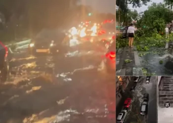 Κακοκαιρία στο Παρίσι -Πλημμύρες, καταστροφές, μπήκαν νερά στην εθνοσυνέλευση, δύο νεκροί