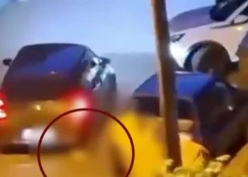 Καλαμαριά: Άνδρας κλωτσάει γατάκι και μετά το πατάει με το αυτοκίνητό του – Συνελήφθη από αστυνομικούς