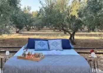 Κρήτη: Νοικιάζουν κρεβάτι μέσα στις… ελιές από 106 έως 126 ευρώ το βράδυ
