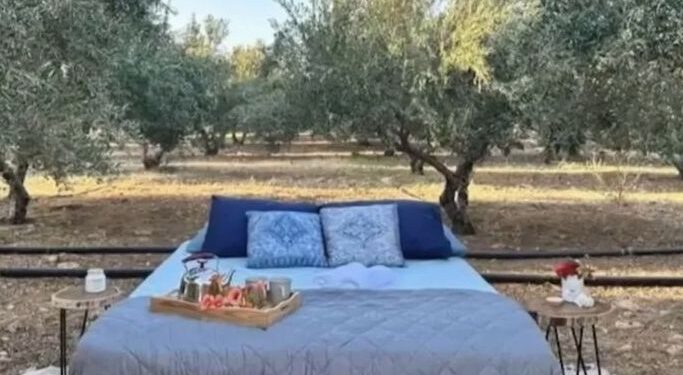 Κρήτη: Νοικιάζουν κρεβάτι μέσα στις… ελιές από 106 έως 126 ευρώ το βράδυ