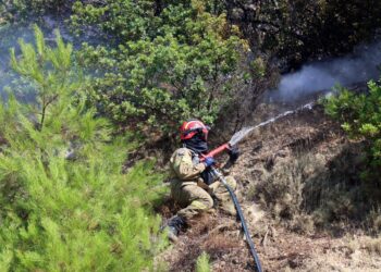 Φωτιά στο Ηράκλειο: Ήχησε το 112 – «Μείνετε σε ετοιμότητα»