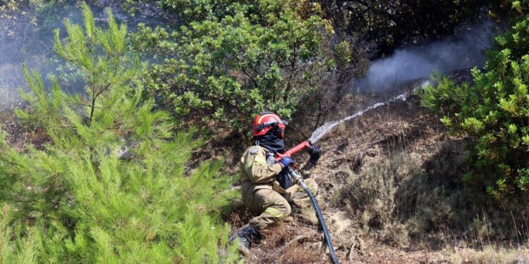 Φωτιά στο Ηράκλειο: Ήχησε το 112 – «Μείνετε σε ετοιμότητα»