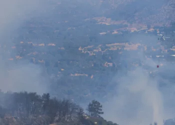 Φωτιά στη Χίο: Συνελήφθη οικιακή βοηθός για εμπρησμό από αμέλεια – Ισχυρίζεται ότι προσπάθησε να σβήσει τσιγάρο