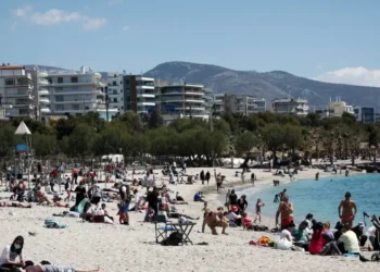 Άλιμος: Σύρος δάγκωσε και έκοψε το αυτί Ισραηλινού τουρίστα