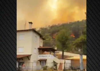 Μεγάλη φωτιά καίει πευκοδάσος στη Βουρβουρού Χαλκιδικής – Μήνυμα του 112 στους κατοίκους να απομακρυνθούν, δείτε βίντεο