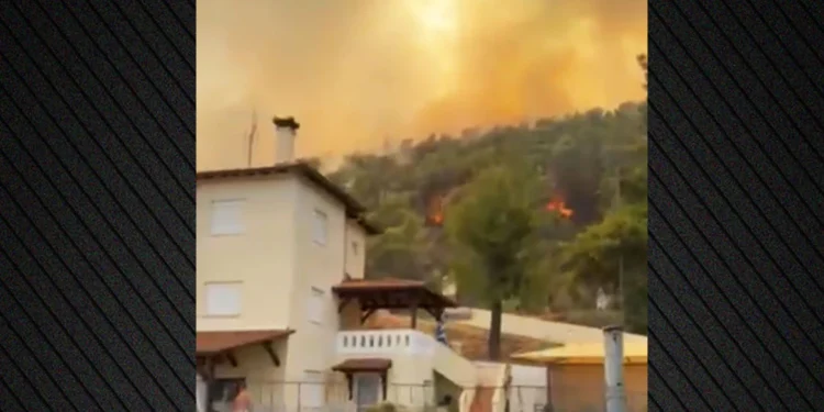 Μεγάλη φωτιά καίει πευκοδάσος στη Βουρβουρού Χαλκιδικής – Μήνυμα του 112 στους κατοίκους να απομακρυνθούν, δείτε βίντεο