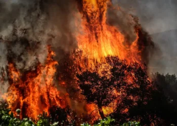 Καιρός: Πτώση της θερμοκρασίας, ισχυροί άνεμοι και αυξημένος κίνδυνος πυρκαγιάς – Επικαιροποιήθηκε το έκτακτο δελτίο