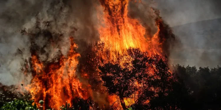 Καιρός: Πτώση της θερμοκρασίας, ισχυροί άνεμοι και αυξημένος κίνδυνος πυρκαγιάς – Επικαιροποιήθηκε το έκτακτο δελτίο