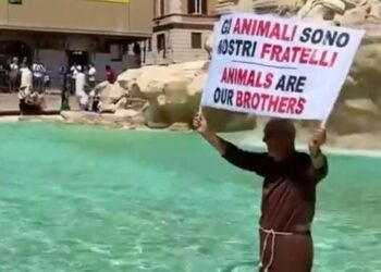 Ρώμη: Μοναχός μπήκε στην Φοντάνα ντι Τρέβι και έγινε viral – Για ποιο λόγο διαμαρτυρόταν (Βίντεο)