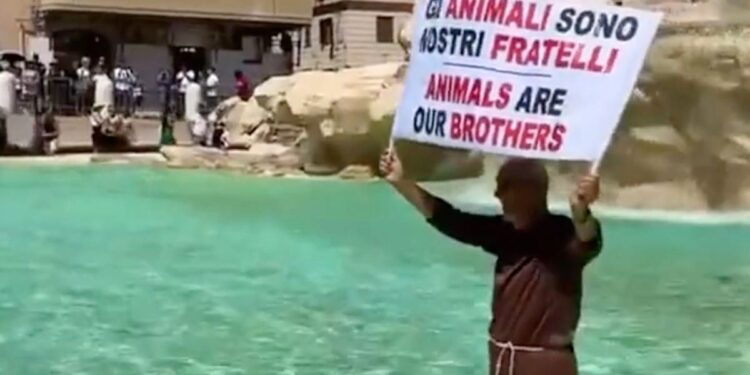 Ρώμη: Μοναχός μπήκε στην Φοντάνα ντι Τρέβι και έγινε viral – Για ποιο λόγο διαμαρτυρόταν (Βίντεο)