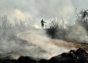 «Συγγνώμη αν δεν ανταποκριθήκαμε», λέει ο αρχιπύραρχος για τη φονική πυρκαγιά στην Κύπρο – «Εκκενώθηκαν 13 κοινότητες για να μην πάθουμε ό,τι στο Μάτι»